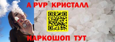 дживик Тара