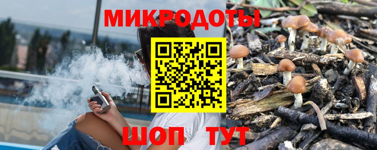 Псилоцибиновые грибы Psilocybe Отрадный
