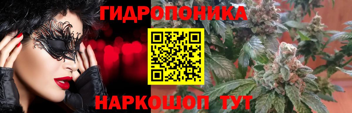 Канабис план  Конопля Amnesia  Вход с VPN  Шишки марихуана планчик  Марихуана гибрид  Отрадный 